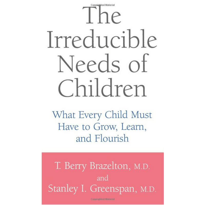 The Irreducible Needs of Children